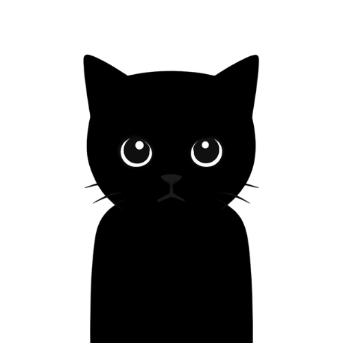 noir