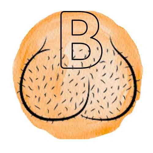 BDC
