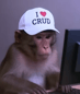 CRUD