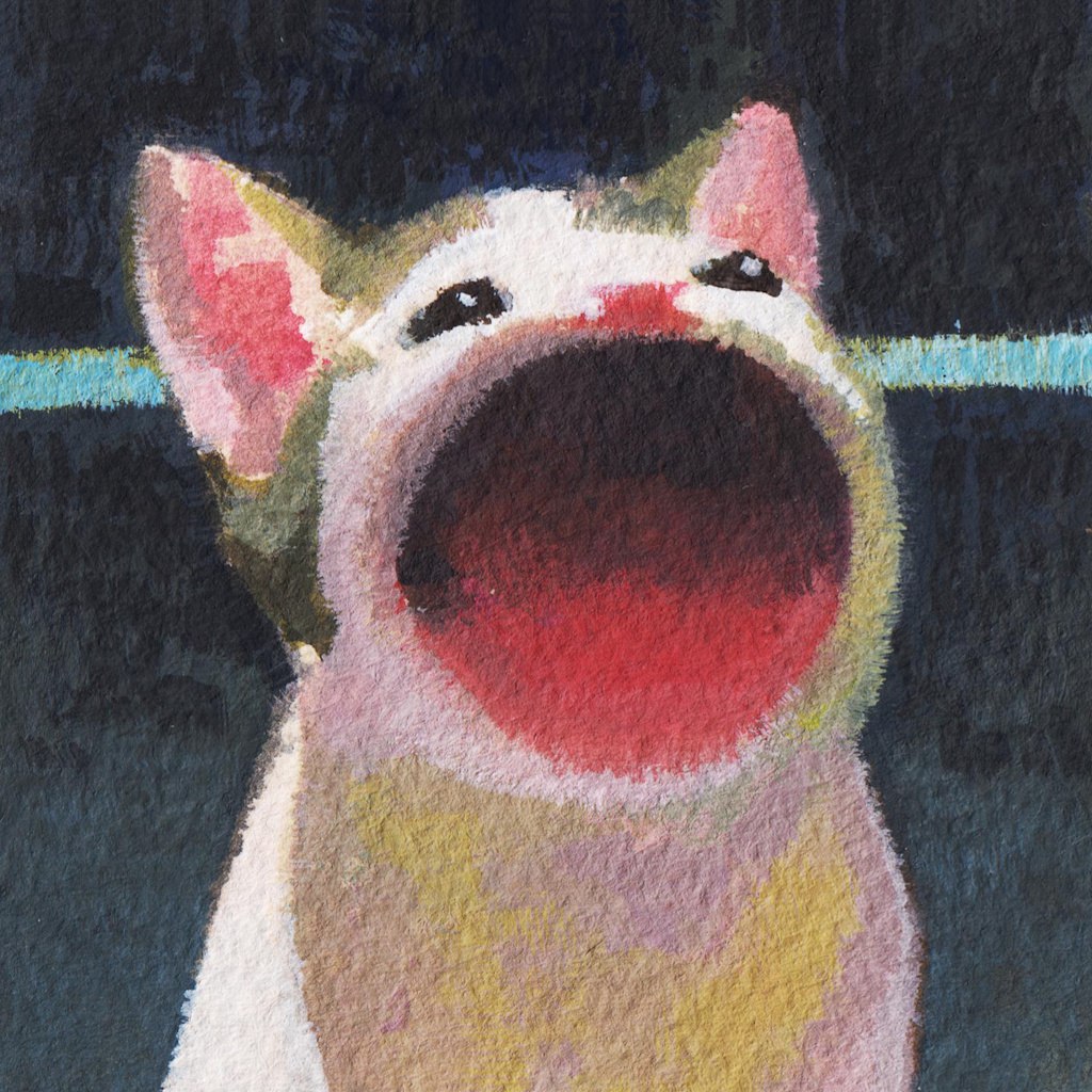 POPA
