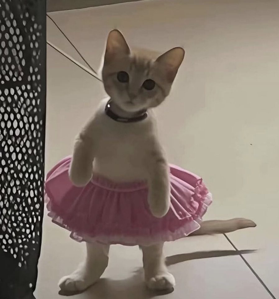 mimimi