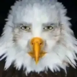MARVIN