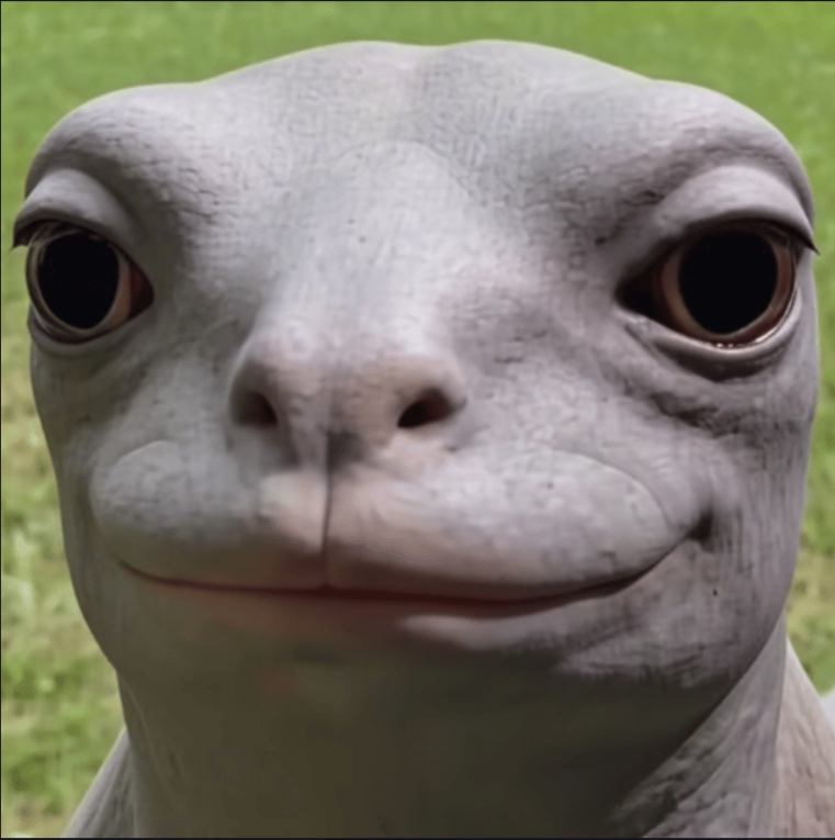 Poot