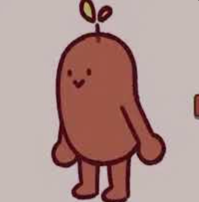 Pinto Bean