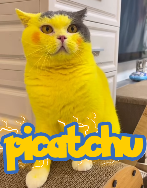 Picatchu