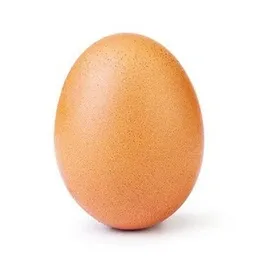 EGG
