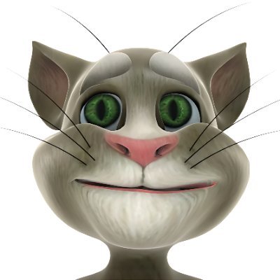 Tom Cat