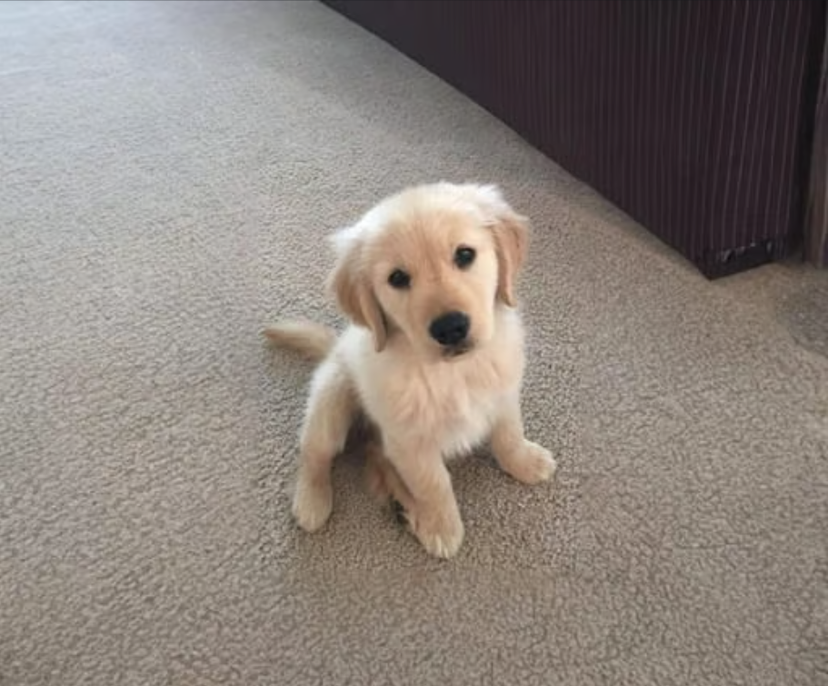 MILLY