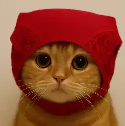 PUSSY