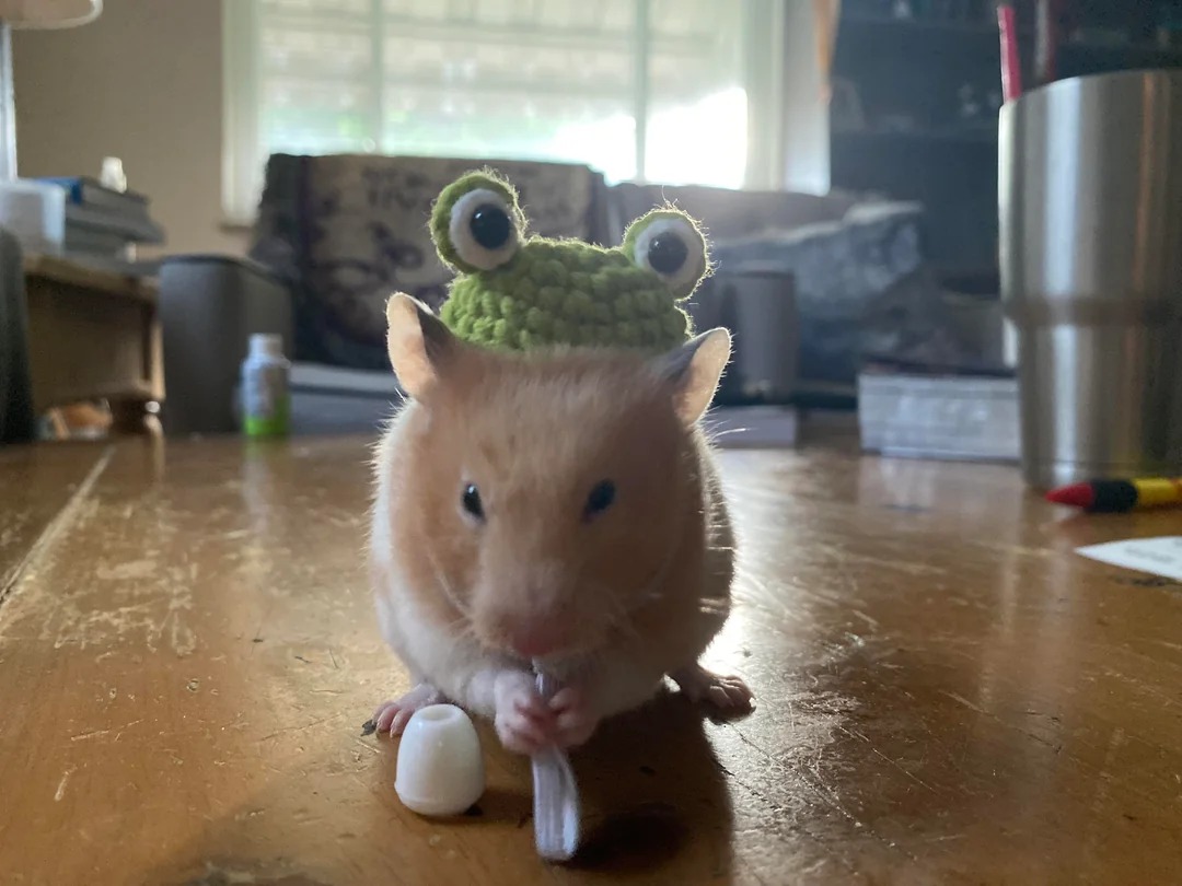 FROG