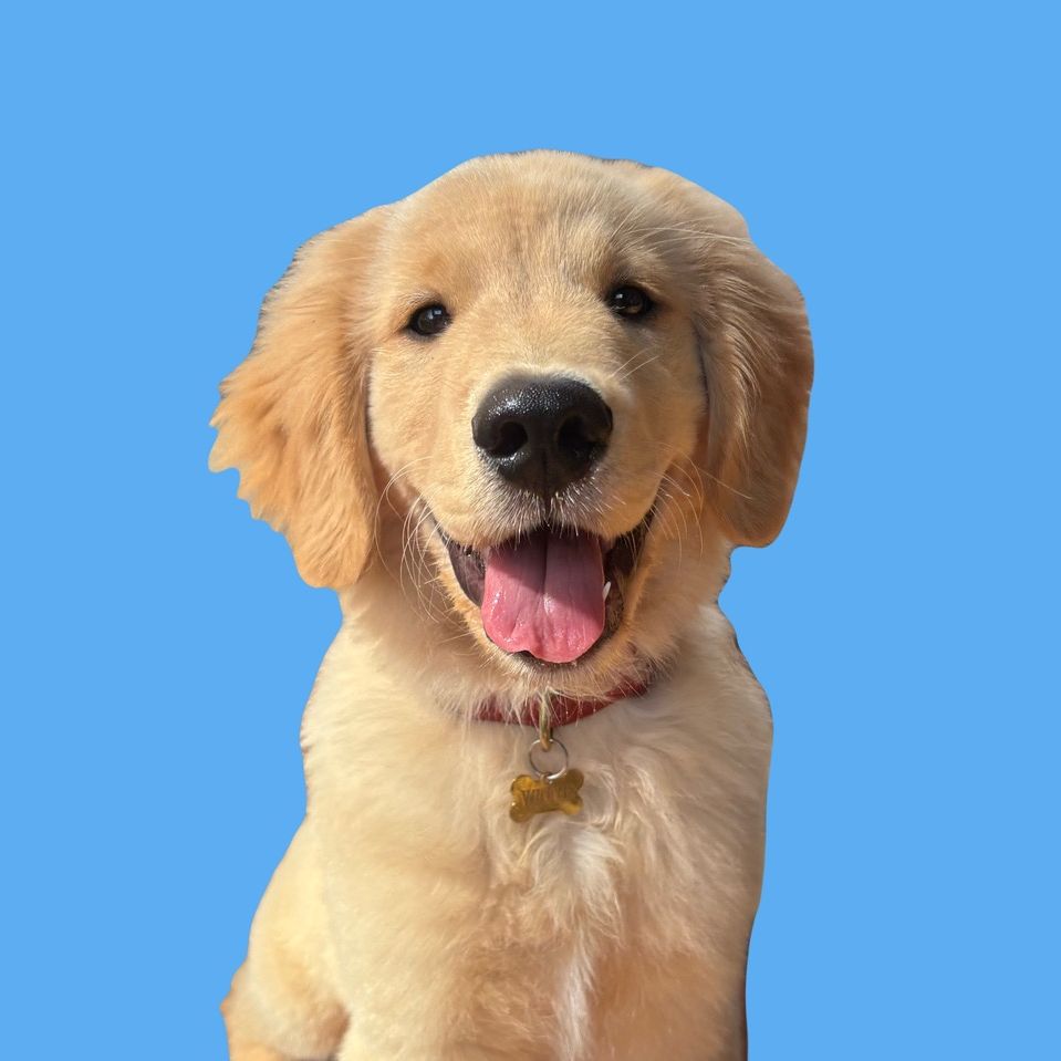 WINNIE
