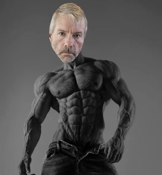 GIGASaylor