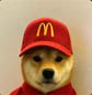 INU