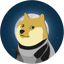 DOGE1