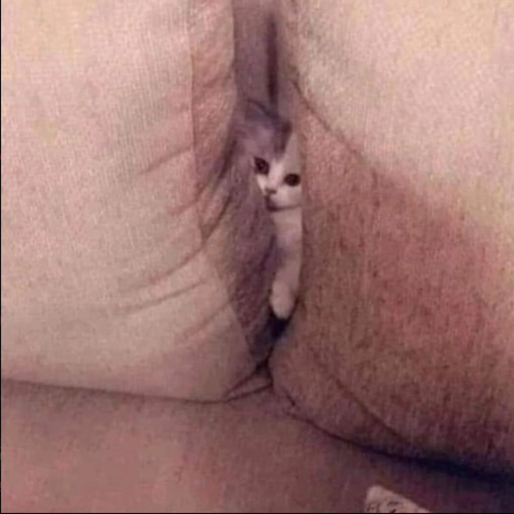 pussy