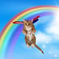 Catterfly