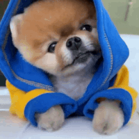 JIFFPOM