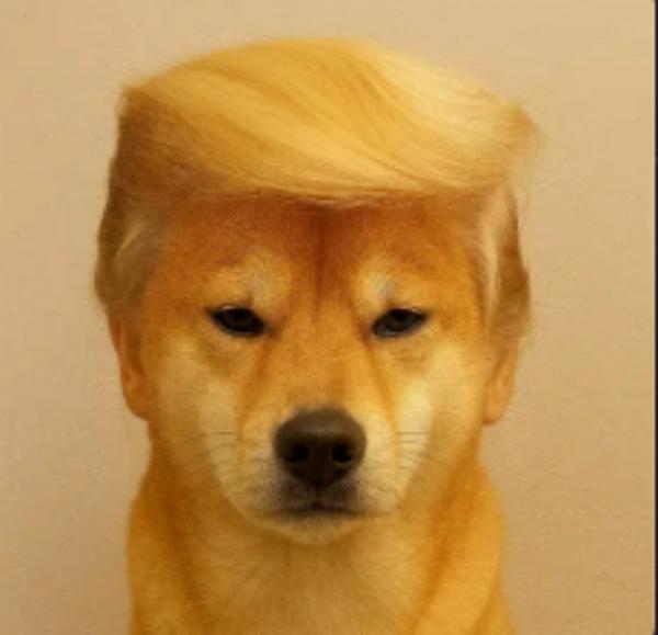 DT