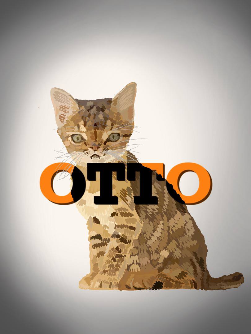 $OTTO