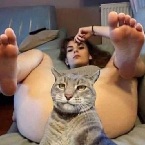 PUSSY