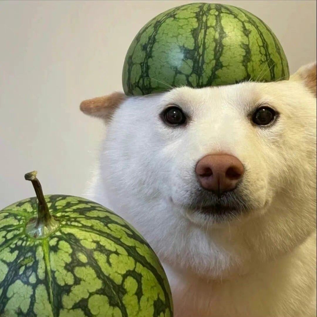 melon
