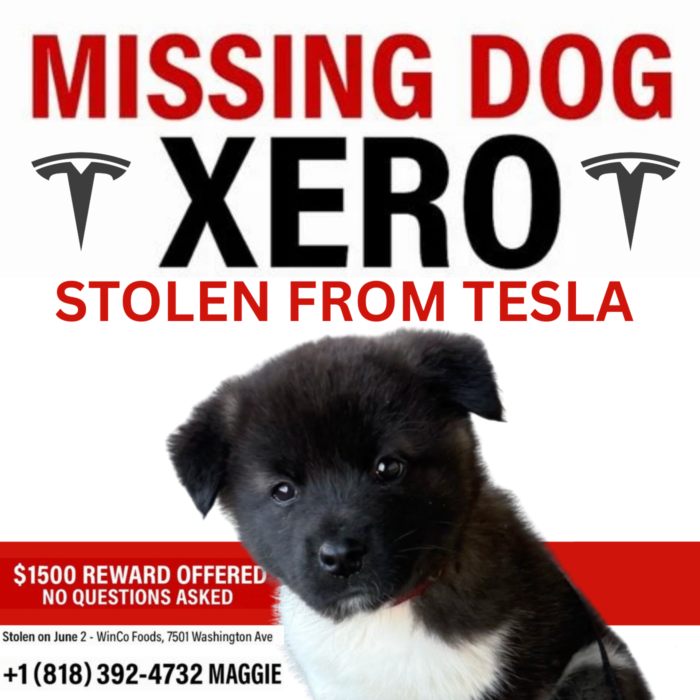 Xero