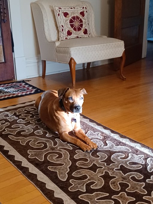 SUNDOG