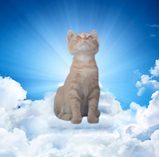 Hope