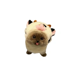 kitbull