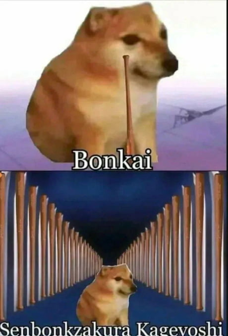 Bonkai
