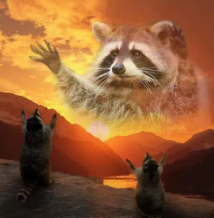 COON