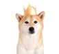 Kinginu