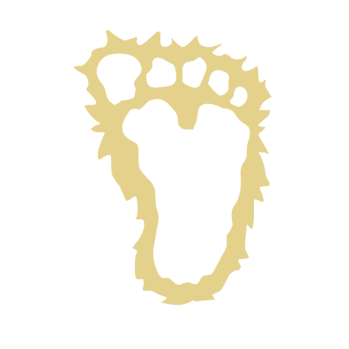 $YETI