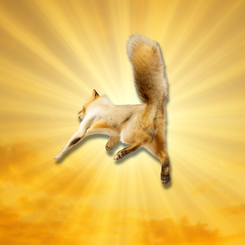 flynut
