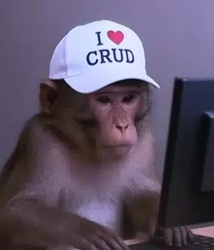 CRUD