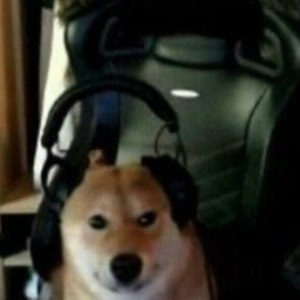 SDOG