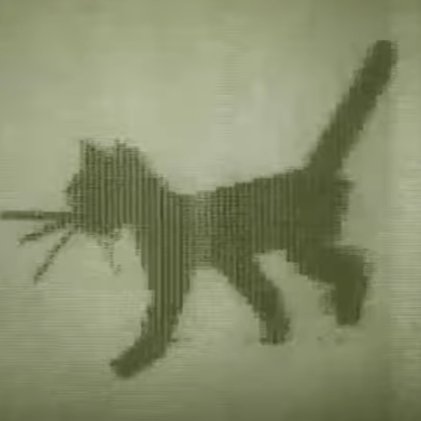 KITTY