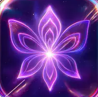 Arcarae