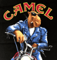 Camel