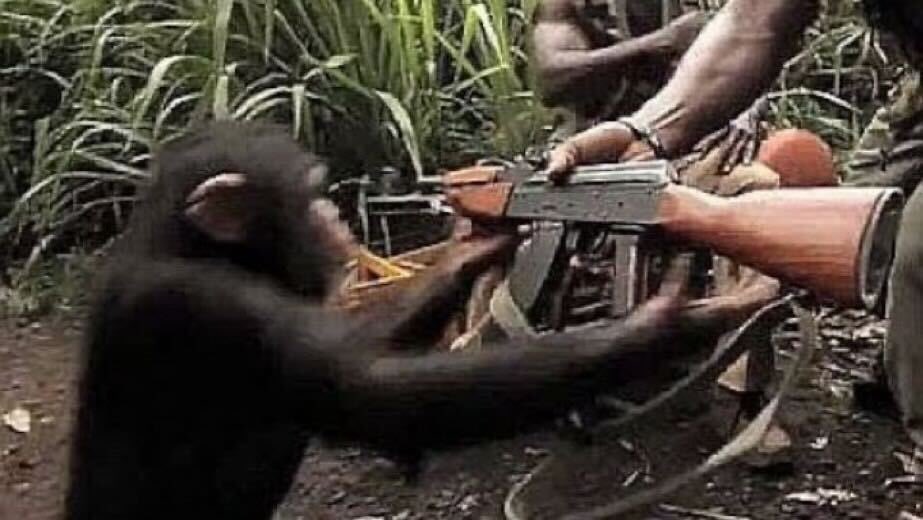monkeygun