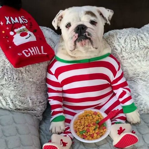 Eggnog