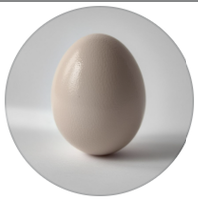 egg