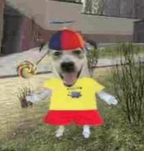 dwog