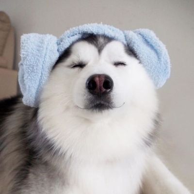 WOOFY