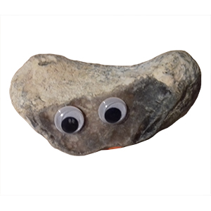 Adam