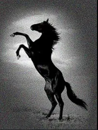 DARKHORSE
