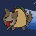 tacodog