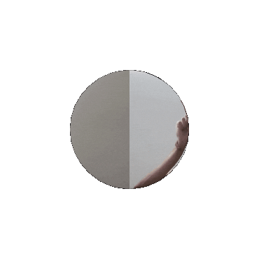 RealDev