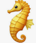 Seahorse