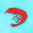 SWIMP